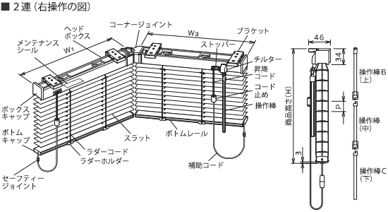 \}E2A(Ȅꍇ)