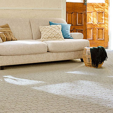 アスワン「Wall to Wall CARPET」