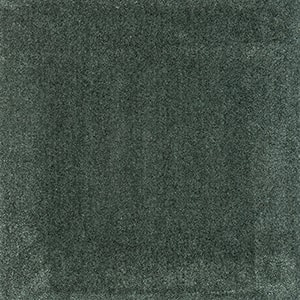 TNF40106