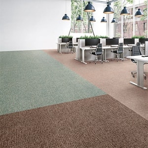 PX-6006�{�H�摜