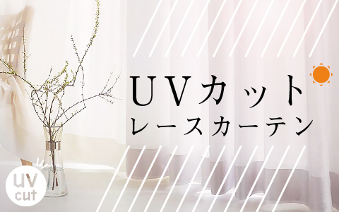 2025N߂UVJbg[XJ[e 