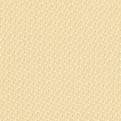 エコプレーンII