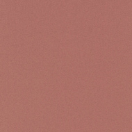 CS22355