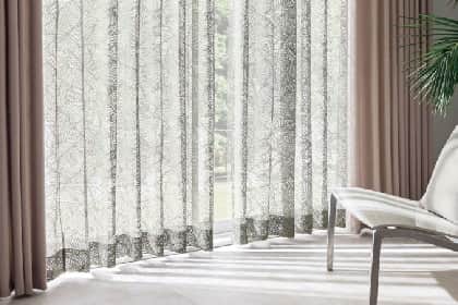 Function Sheer{H摜