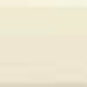 �X�m�[�z���C�g