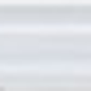 �X�e�����X