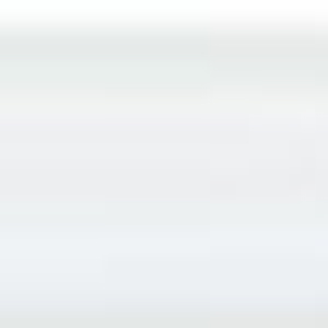 �X�`�[���z���C�g