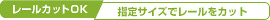 C11^[VpZbg(10kgp)