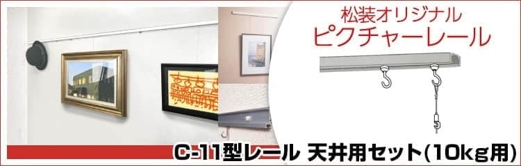 C11^[ǖʗpZbg(10kgp)