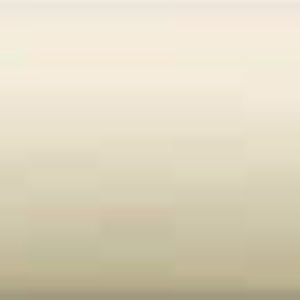 �A���e�B�[�N�z���C�g