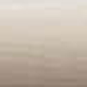 �A�b�V���O���C��