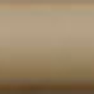 �u���E��