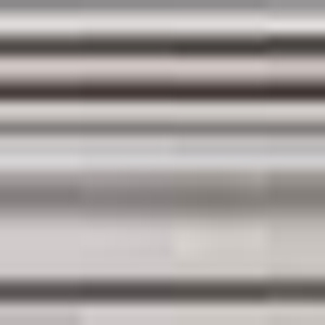 �X�`�[���E�g