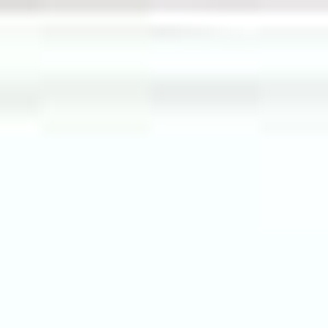 �X�`�[���E�g