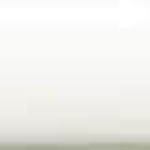 �u���[���z���C�g