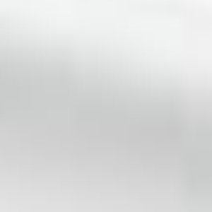 �E�H�[���z���C�g