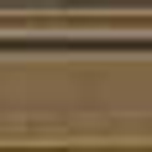 �X�`�[���A���o�[