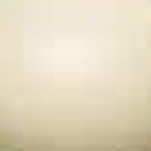 �z���C�g�O���C��