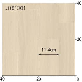 LH81301s[g
