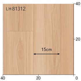LH81312s[g