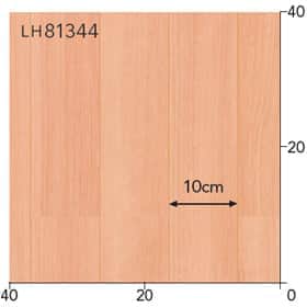 LH81344s[g