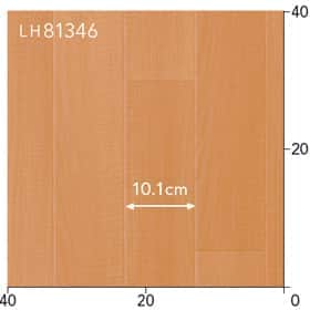 LH81346s[g