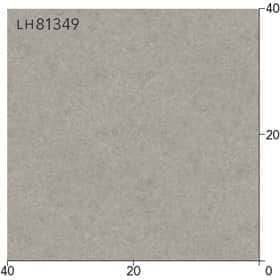 LH81349s[g