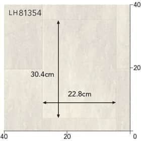 LH81354s[g