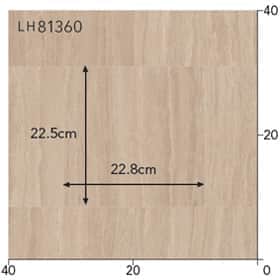 LH81360s[g