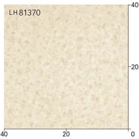 LH81370s[g