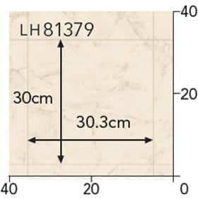LH81379s[g