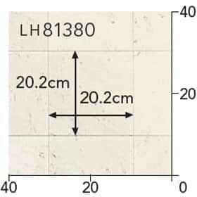 LH81380s[g
