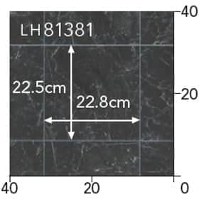 LH81381s[g