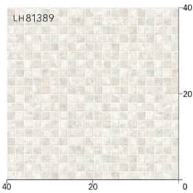 LH81389s[g