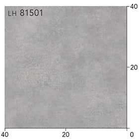 LH81501s[g