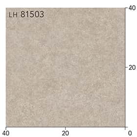 LH81503s[g