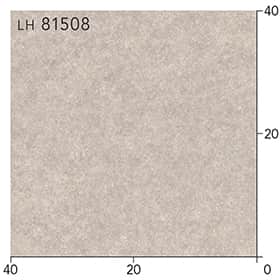 LH81508s[g