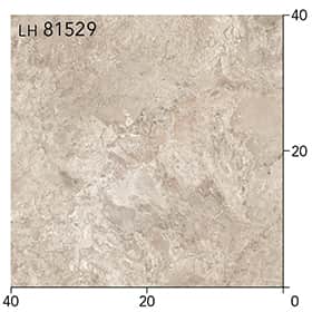 LH81529s[g