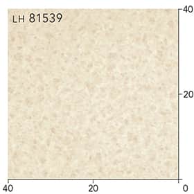 LH81539s[g