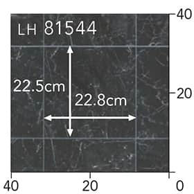 LH81544s[g
