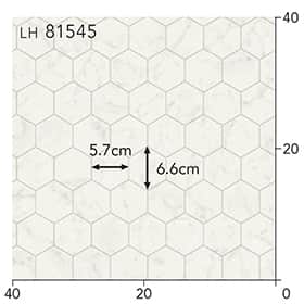 LH81545s[g