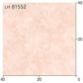 LH81552s[g