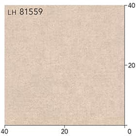 LH81559s[g