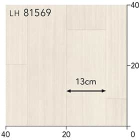 LH81569s[g
