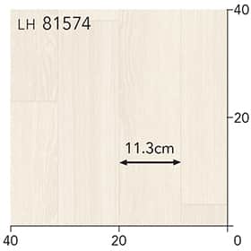 LH81574s[g