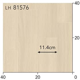 LH81576s[g