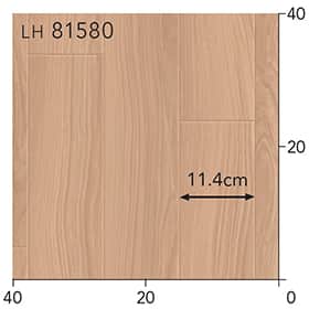 LH81580s[g