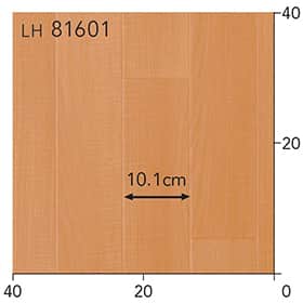 LH81601s[g