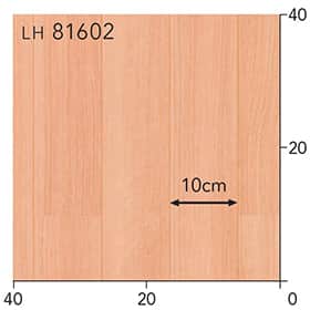 LH81602s[g