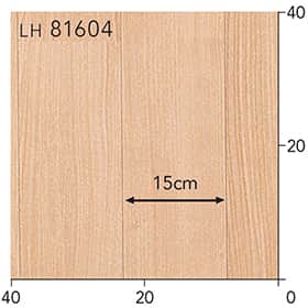 LH81604s[g
